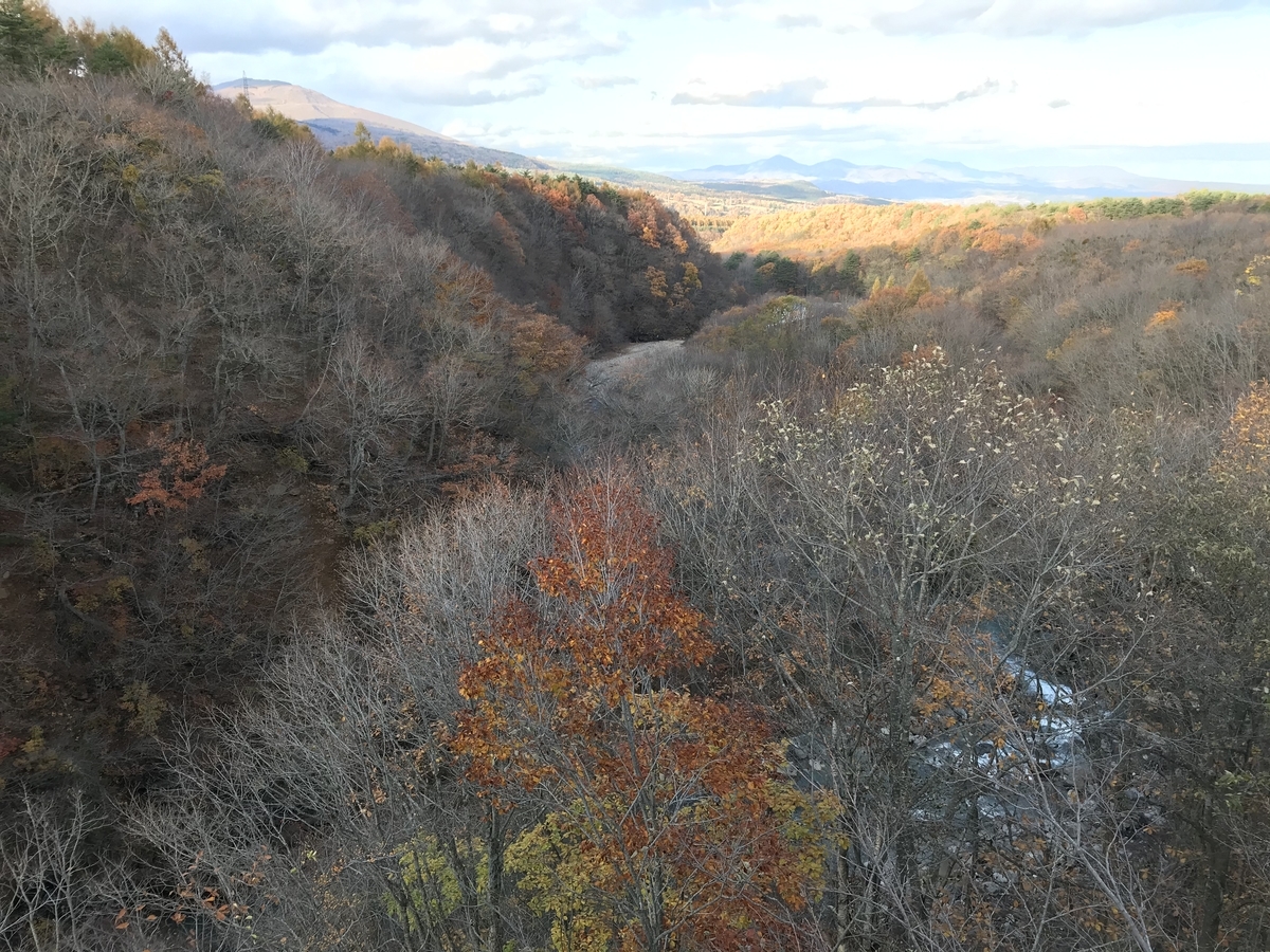 【紅葉】八幡平アスピーテラインと森の大橋【落ち葉】
